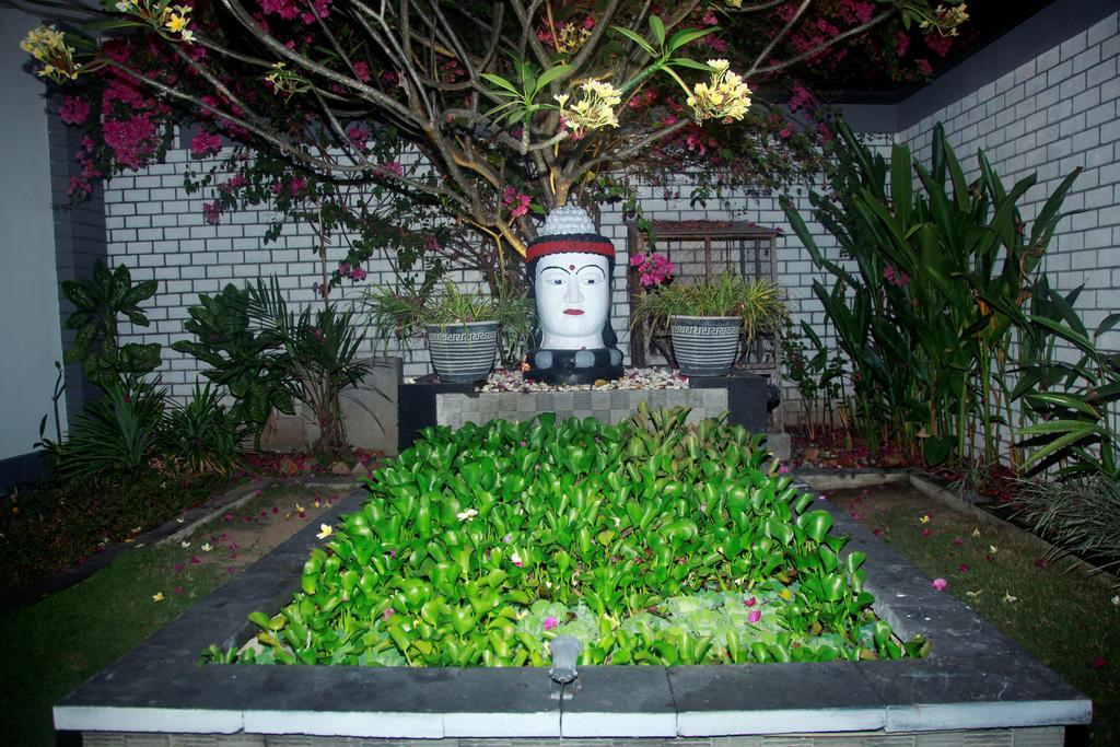 Rumah Putih Abu Abu Homestay *